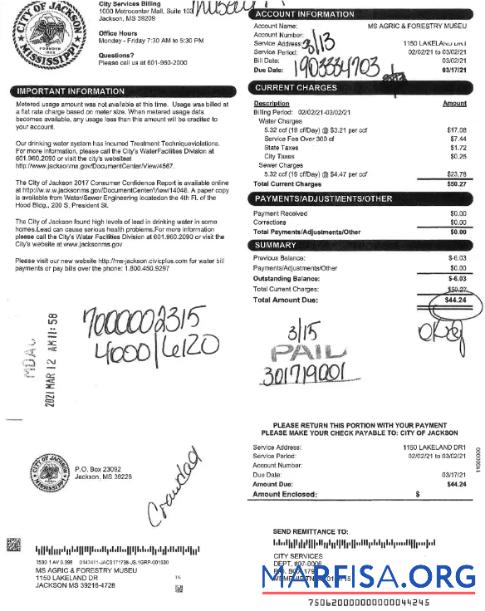 Printable USA CITY OF JACKSON utility bill Word and PDF template